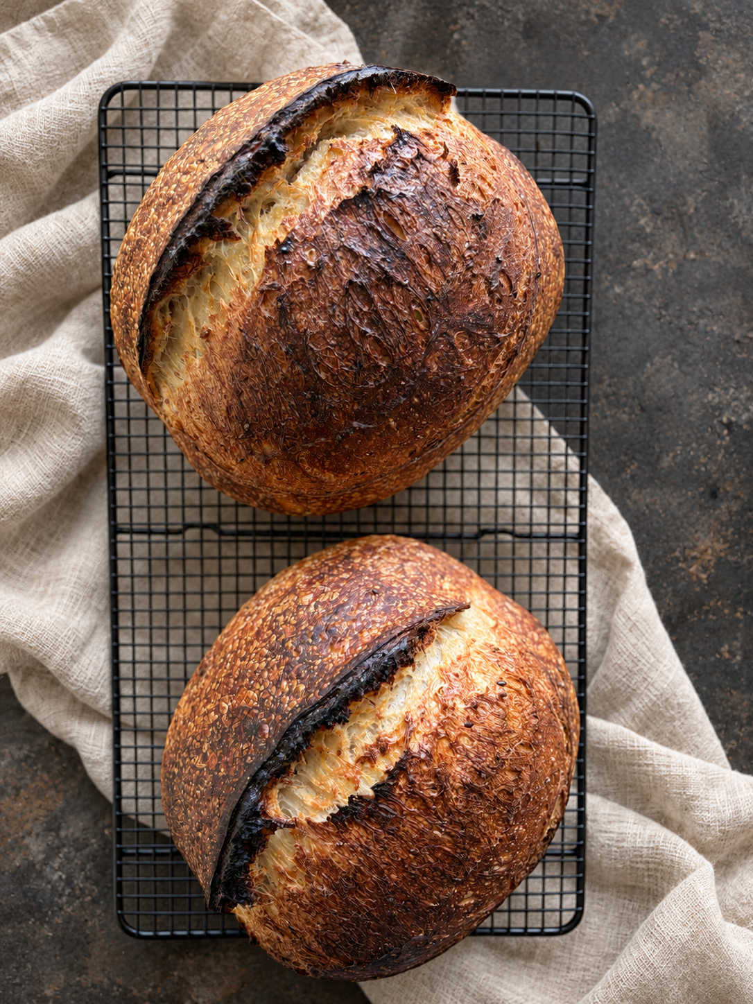 5 Grain & Seed