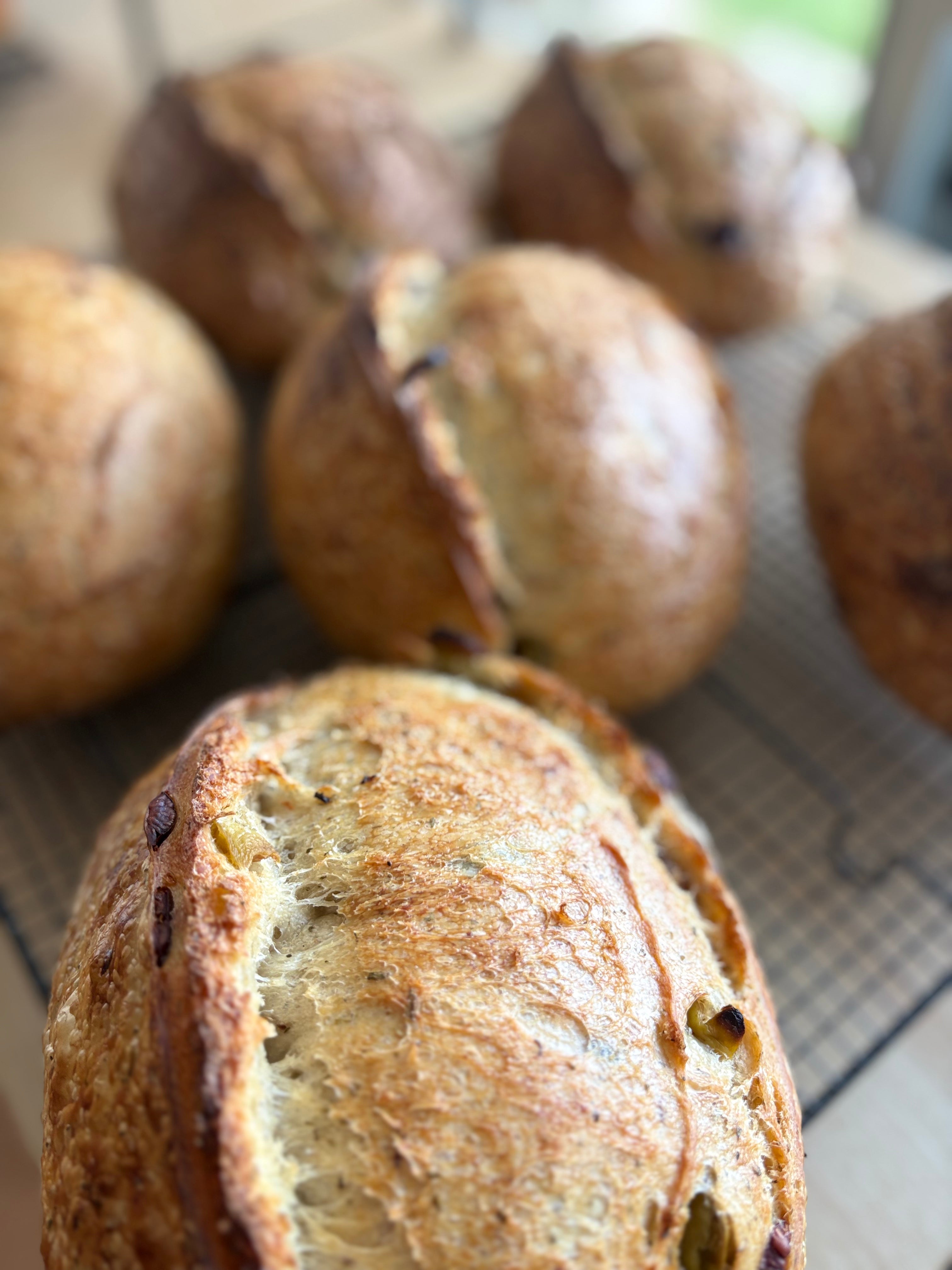 Olive & Greek Oregano
