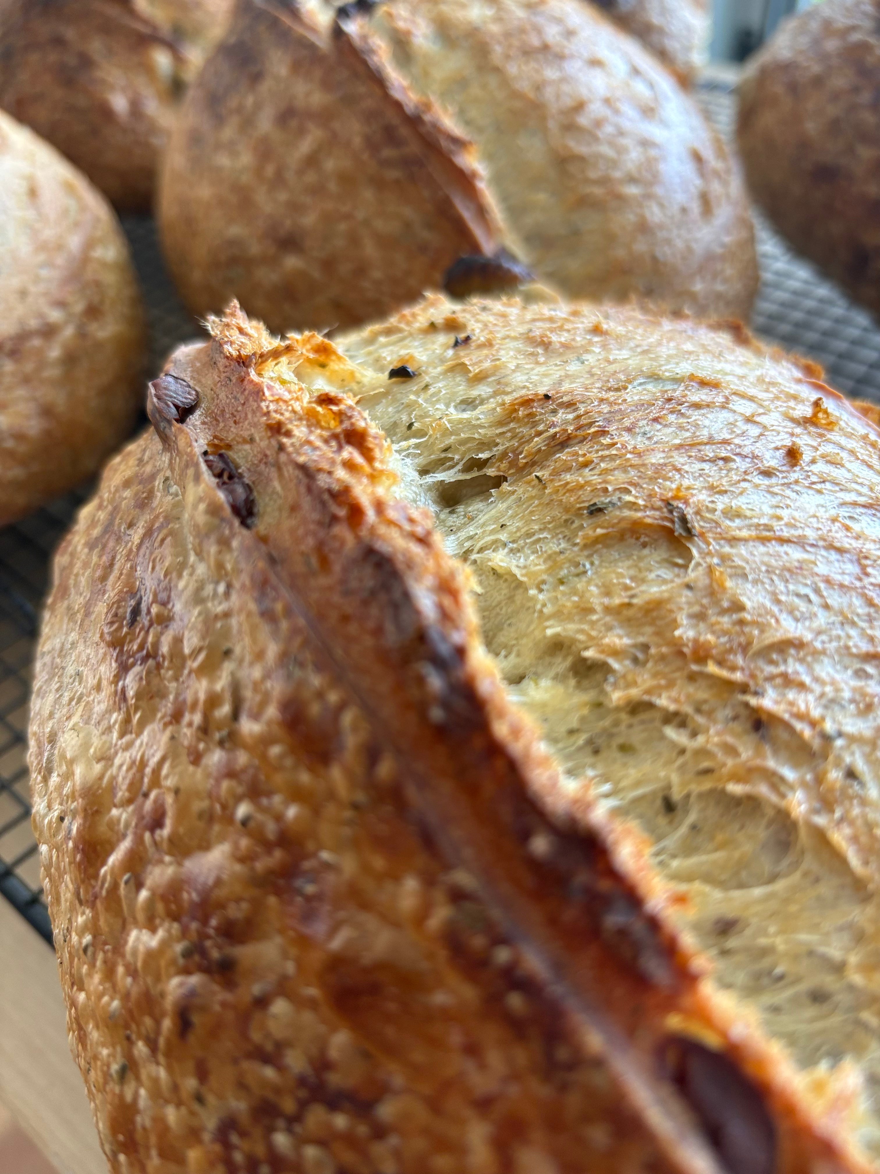 Olive & Greek Oregano